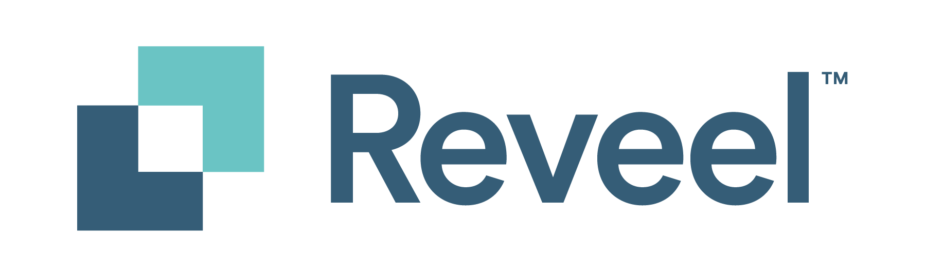 Reveel-Logo-NoTagline-RGB